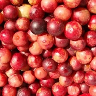 Camu Camu 9, 10