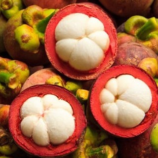 Mangosteen 27, 28